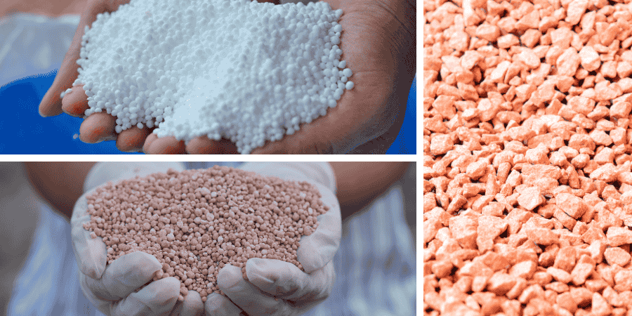 10 Best Lawn Fertilizers for All Season [6 Types of Fertilizers]