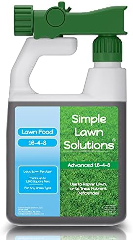 Best Lawn Fertilizers P 6