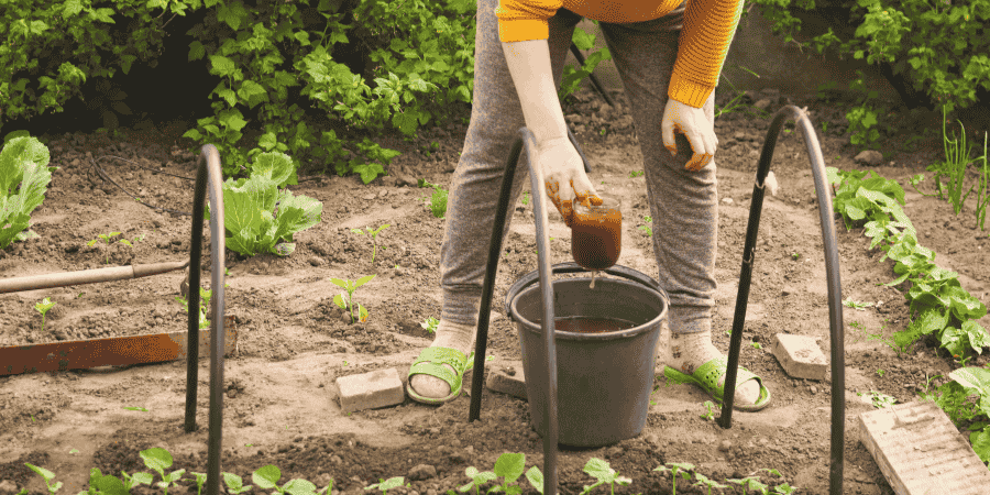 Top 5 Best Liquid Fertilizer for Vegetable Garden Boost Growth Fast in 2025