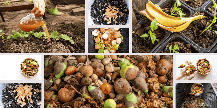homemade organic fertilizer for vegetables