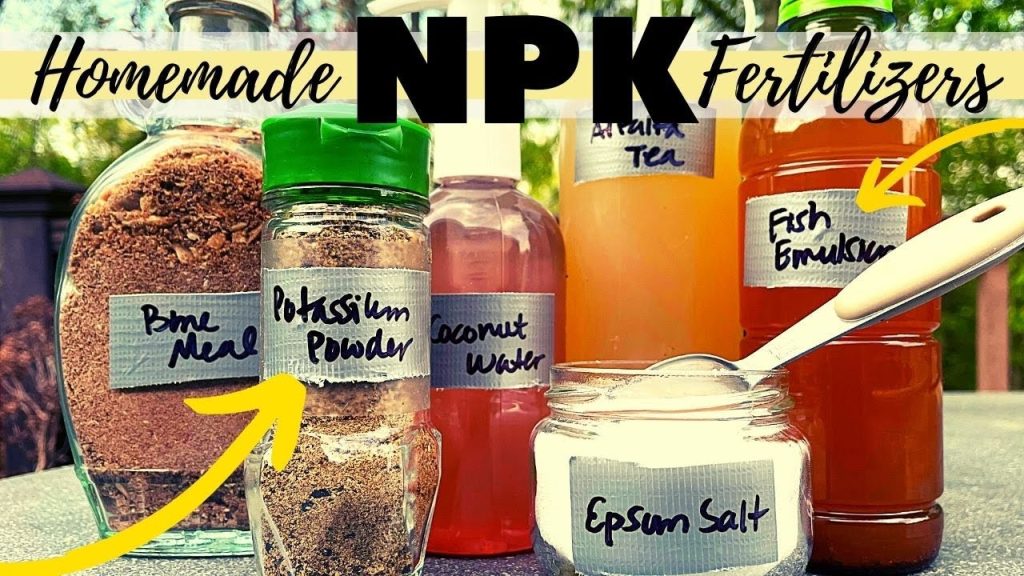 Homemade Fertilizer for Herbs