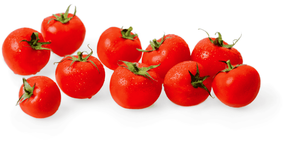 Cherry Tomato Large Sakura F1