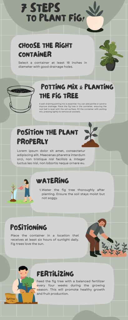 How to Care for a Potted Fig Tree in Delaware
