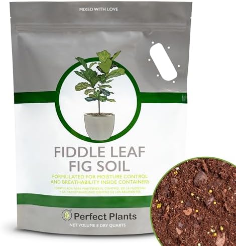 best soil for fig trees in pots p 2