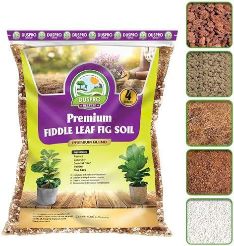 best soil for fig trees in pots p 4