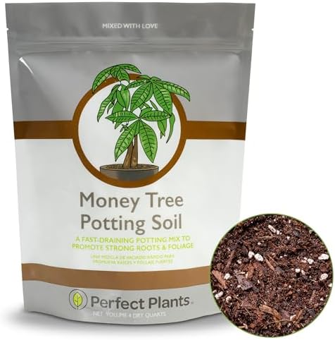 best soil for fig trees in pots p 9