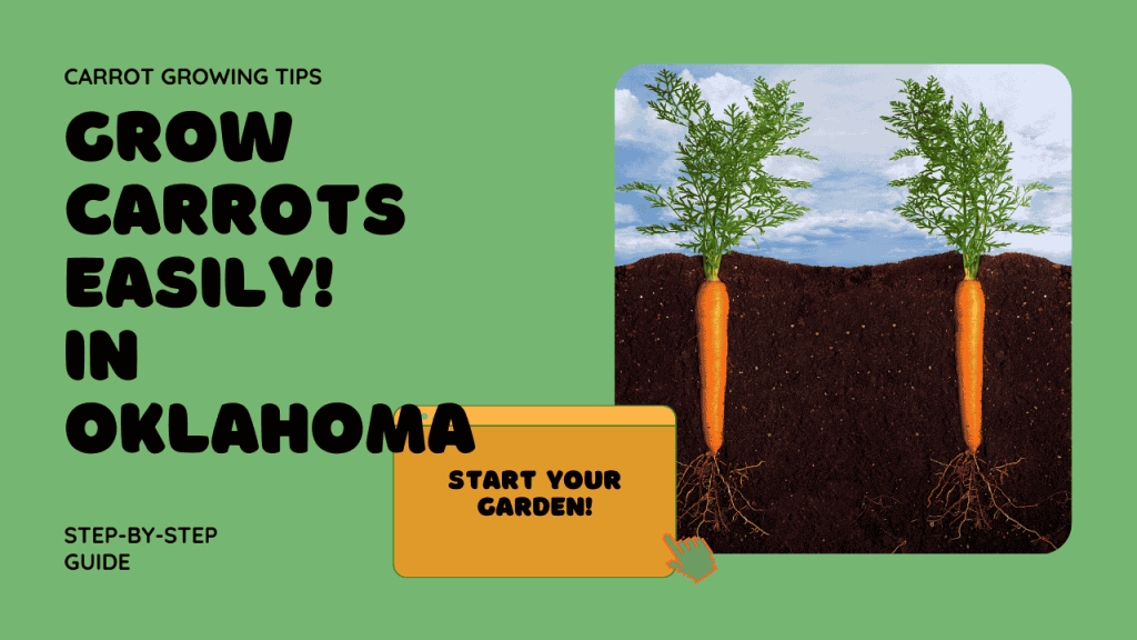 Growing Carrots in Oklahoma A Step By Step Guide