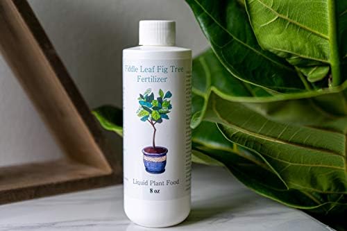 best fertilizer for fig trees in pots p1