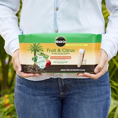 best fertilizer for fig trees in pots