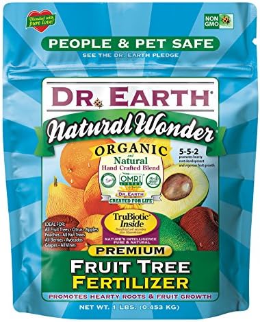 best fertilizer for fig trees in pots