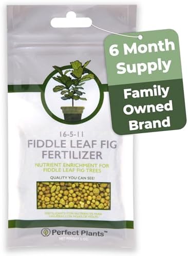 best fertilizer for fig trees in pots