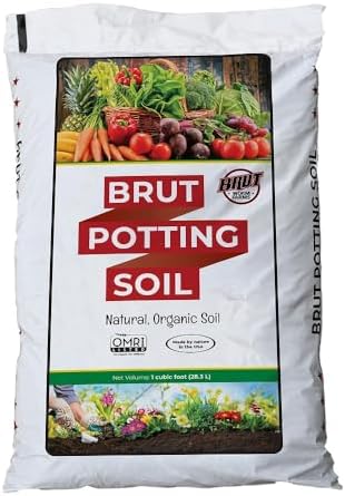 Westland Peat-Free Strawberry & Fruit Mix (UK) — Best for UK Gardeners