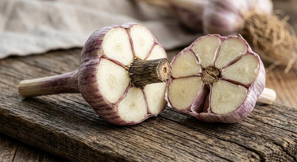 Best Garlic Varieties for Illinois Climate